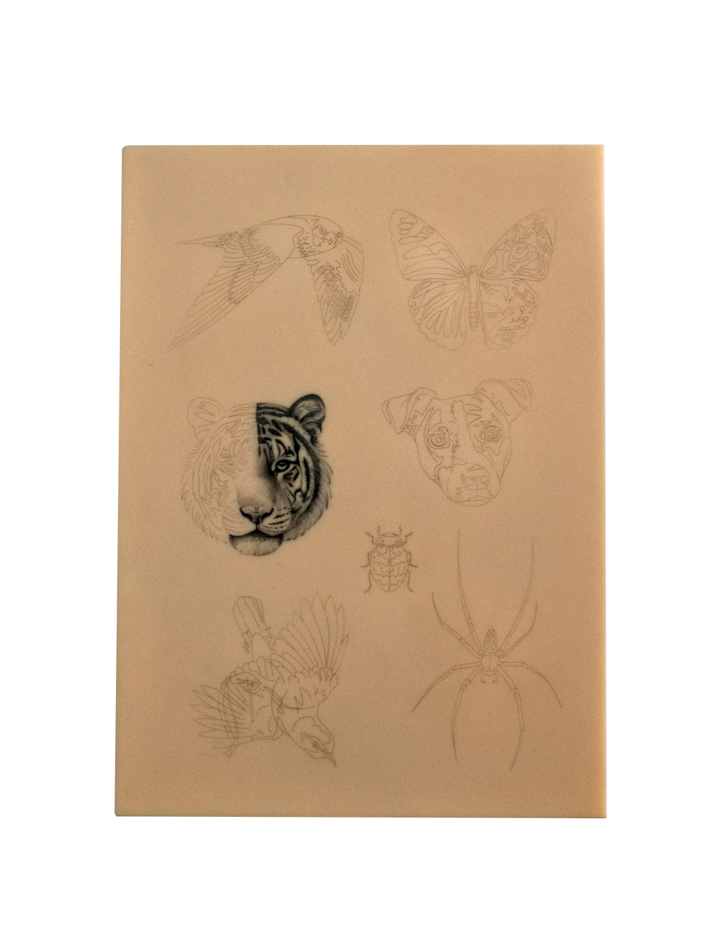 Pre stenciled fake skin Animals 1
