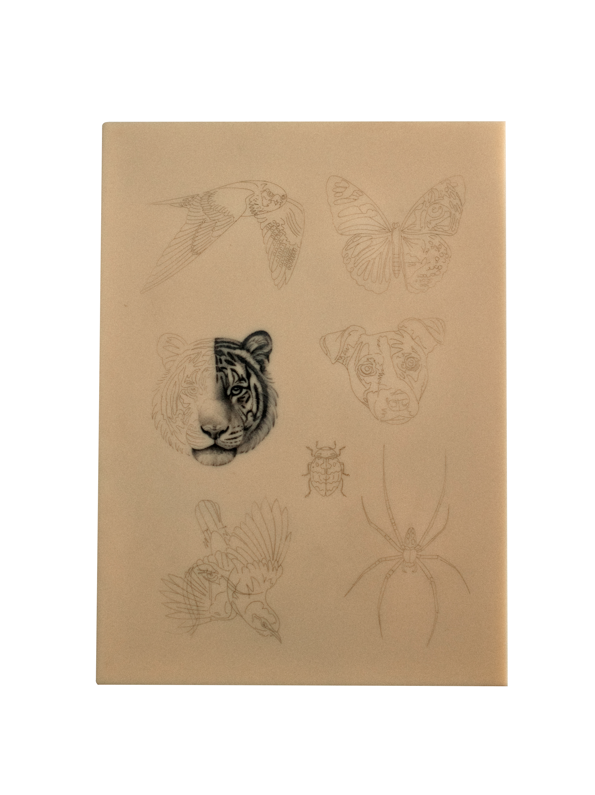 Pre stenciled fake skin Animals 1