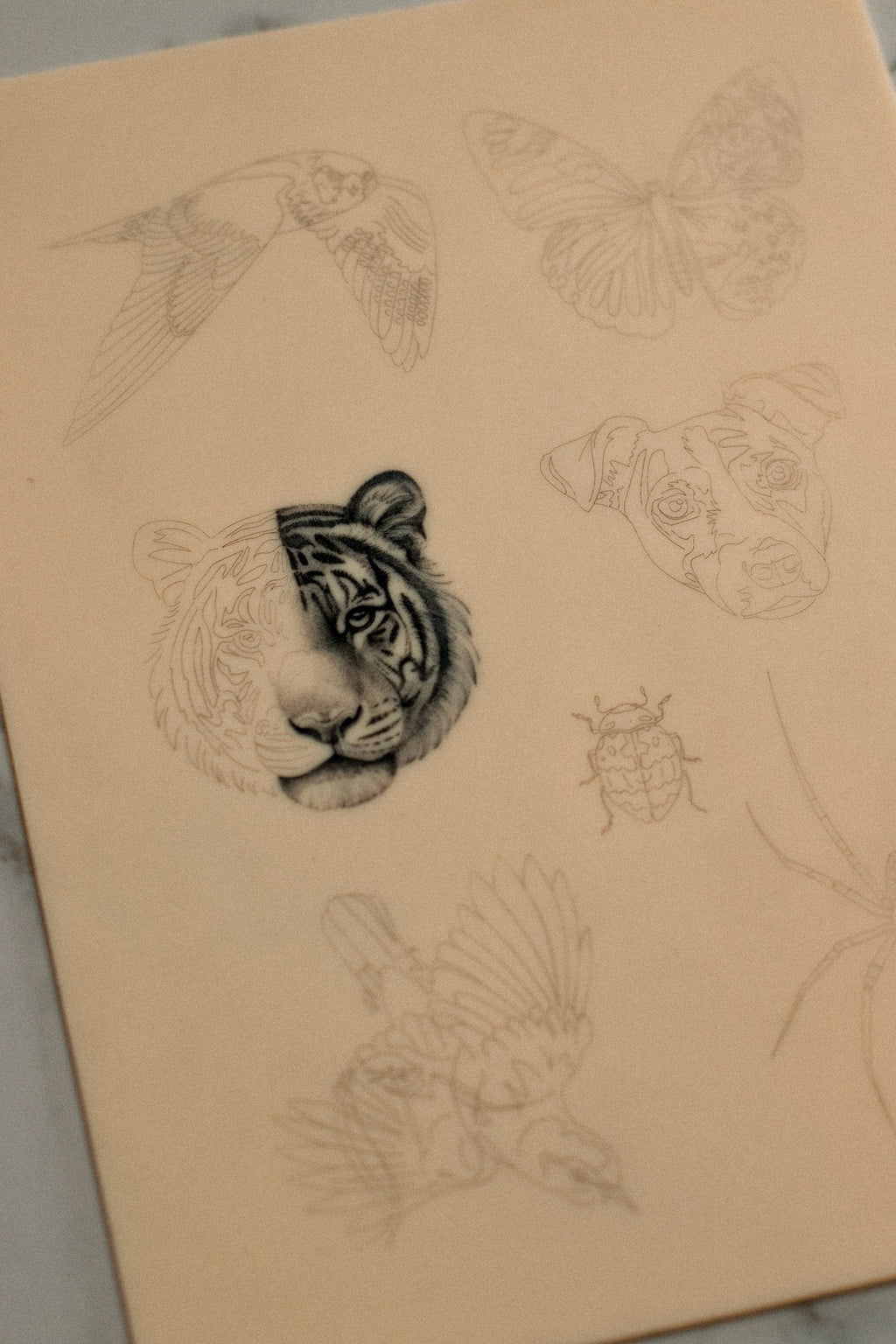 Pre stenciled fake skin Animals 1