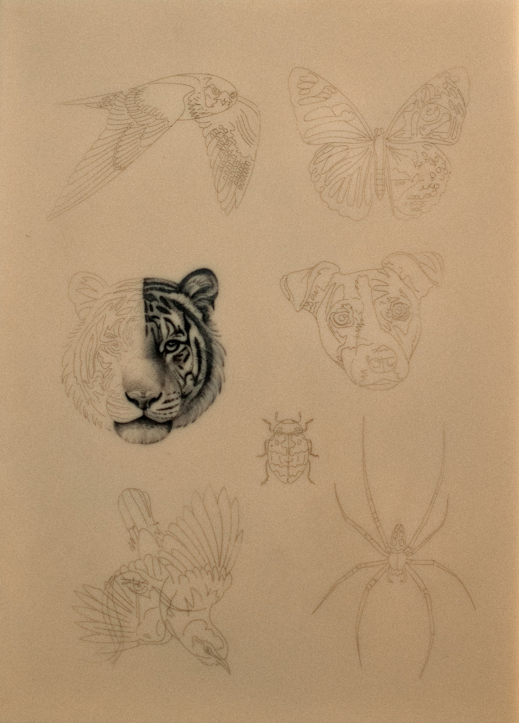 Pre stenciled fake skin Animals 1
