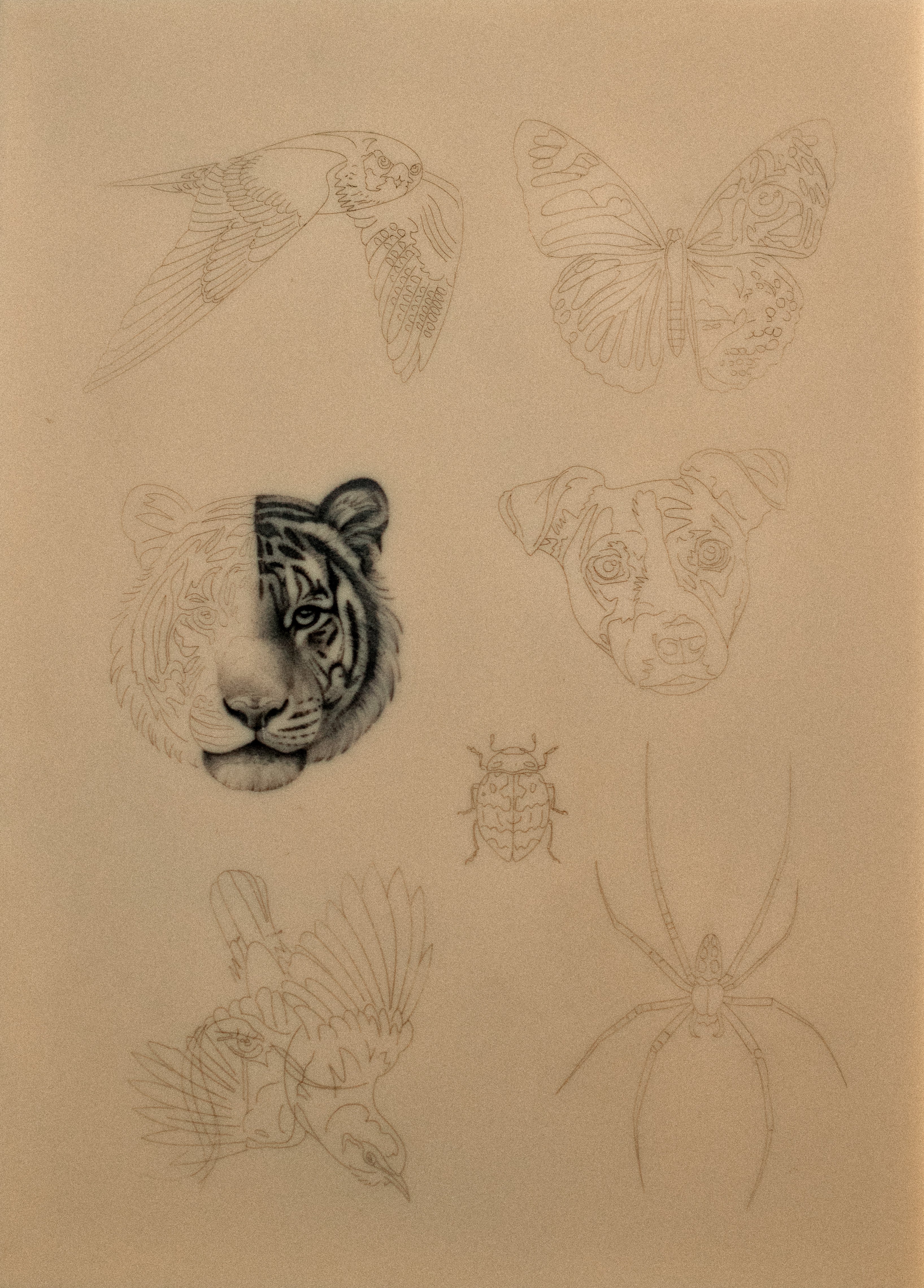 Pre stenciled fake skin Animals 1